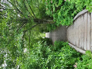 Download Miles Morales Wallpaper Wallpaper