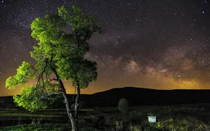 Download Night Wallpaper Wallpaper
