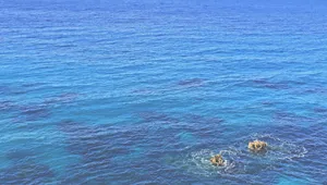 Download Ocean Wallpaper Wallpaper
