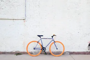 Download Orange Wallpaper Wallpaper