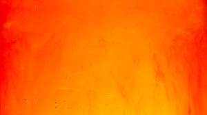 Download Orange Wallpaper Wallpaper