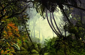 Download Palm Tree Wallpaper Wallpaper