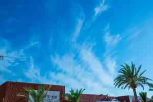 Download Palm Tree Wallpaper Wallpaper