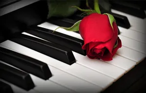 Download Piano Wallpaper Wallpaper