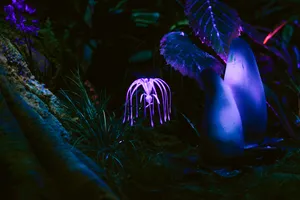 Download Plant Wallpaper Wallpaper