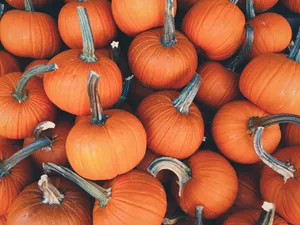 Download Pumpkin Wallpaper Wallpaper