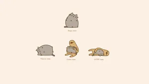 Download Pusheen Wallpaper Wallpaper