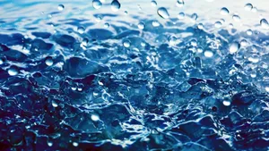 Download Rain Wallpaper Wallpaper