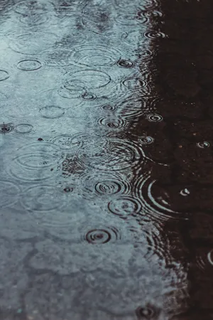 Download Rain Wallpaper Wallpaper