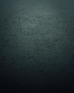 Download Rain Wallpaper Wallpaper