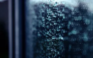Download Rain Wallpaper Wallpaper