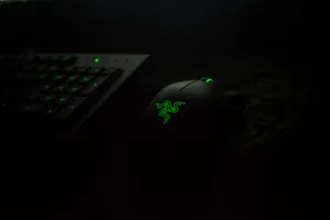 Download Razer Wallpaper Wallpaper