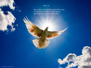 Download Religious Wallpaper Wallpaper