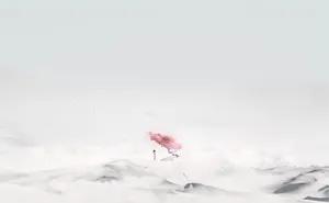 Download Sakura Wallpaper Wallpaper