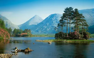 Download Scenic Wallpaper Wallpaper