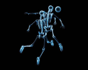 Download Skeleton Wallpaper Wallpaper