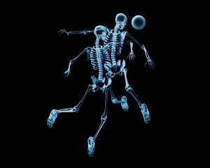 Download Skeleton Wallpaper Wallpaper