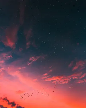 Download Sky Wallpaper Wallpaper