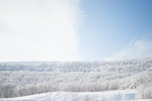 Download Snow Wallpaper Wallpaper