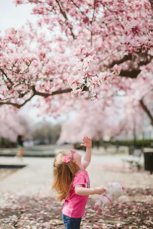 Download Spring Wallpaper Wallpaper