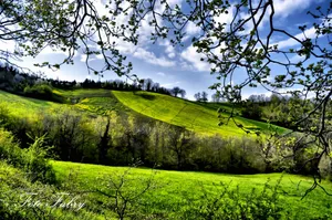 Download Spring Wallpaper Wallpaper