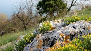 Download Stone Wallpaper Wallpaper