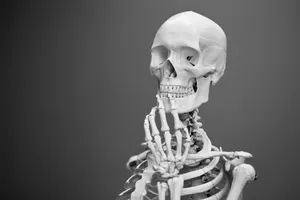Download Sugar Skull Wallpaper Wallpaper