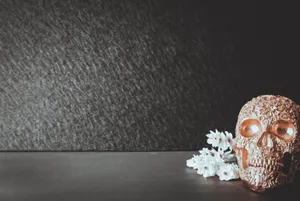 Download Sugar Skull Wallpaper Wallpaper