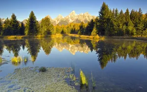 Download Summer Wallpaper Wallpaper