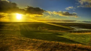 Download Sun Wallpaper Wallpaper