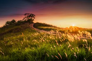 Download Sun Wallpaper Wallpaper