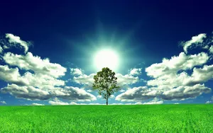 Download Sun Wallpaper Wallpaper
