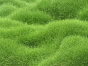 Download Textured Wallpaper Wallpaper