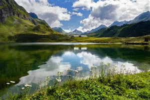 Download Tom Hardy Wallpaper Wallpaper