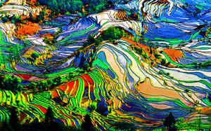 Download Trippy Wallpaper Wallpaper