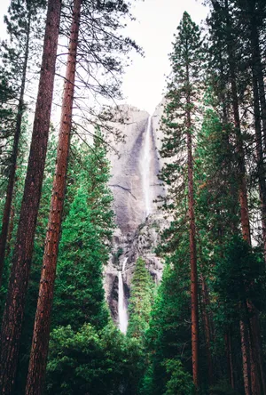 Download Waterfall Wallpaper Wallpaper