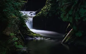 Download Waterfall Wallpaper Wallpaper
