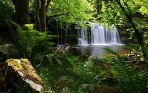 Download Waterfall Wallpaper Wallpaper