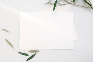 Download White Wallpaper Wallpaper