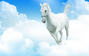 Download White Wallpaper Wallpaper