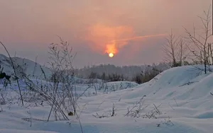 Download Winter Wallpaper Wallpaper