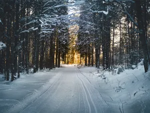 Download Winter Wallpaper Wallpaper