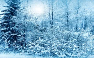 Download Winter Wallpaper Wallpaper
