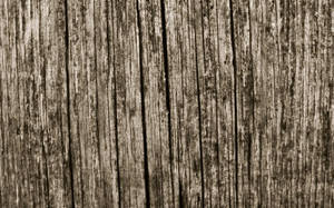 Download Wood Wallpaper Wallpaper