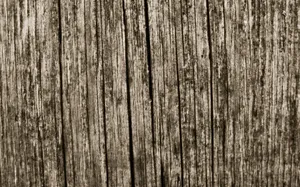 Download Wood Wallpaper Wallpaper