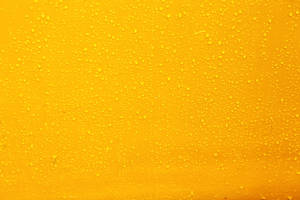 Download Yellow Wallpaper Wallpaper