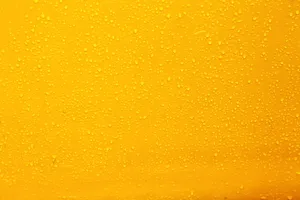 Download Yellow Wallpaper Wallpaper