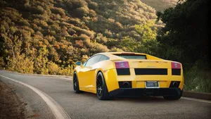 Download Yellow Wallpaper Wallpaper