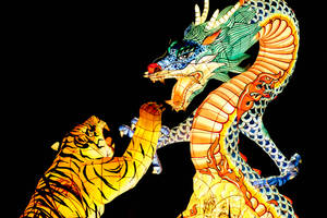 Dragon And Tiger Art Wallpaper