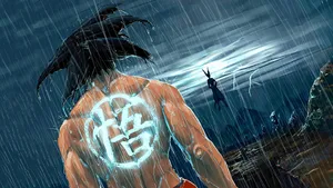 Dragon Ball Beerus Goku Wallpaper